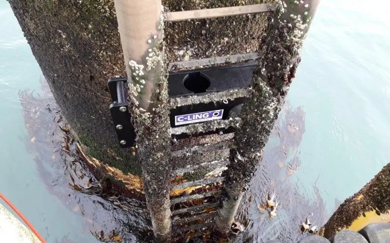 The hydrophilic C-Ling® material showed no sign of attack after 14 months