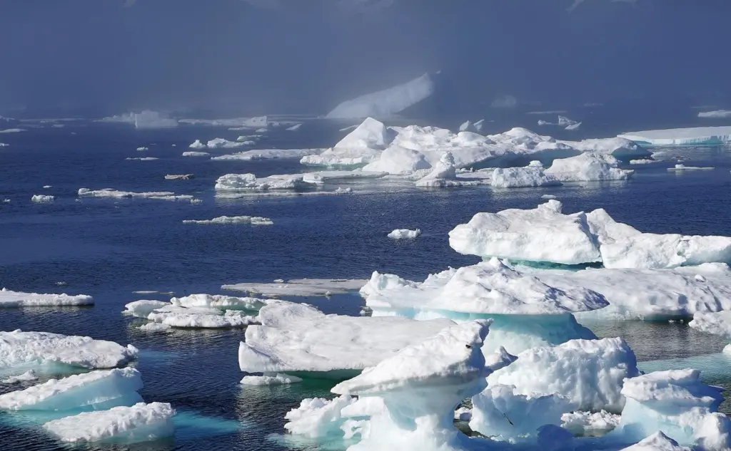 The Clean Arctic Alliance is demanding urgent action to curb the impact on sea ice
