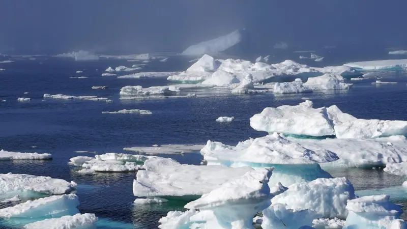 The Clean Arctic Alliance is demanding urgent action to curb the impact on sea ice