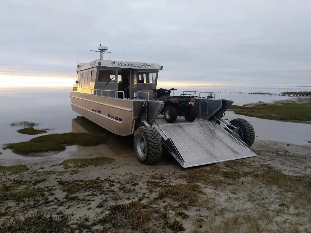 Amphibian 12m