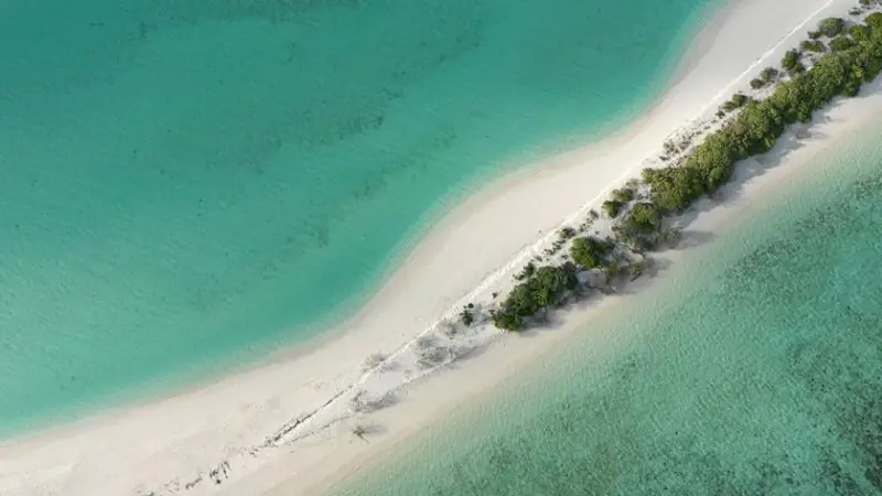 The Maldives
