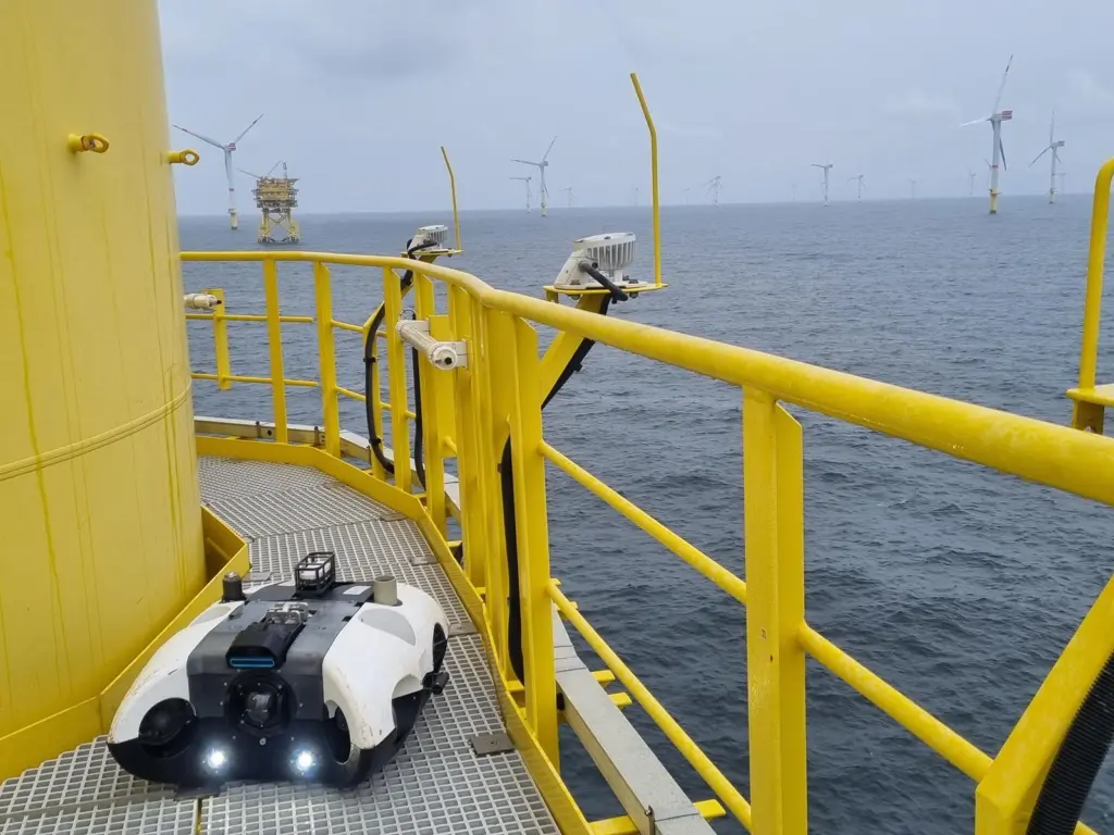 BeeX on turbine