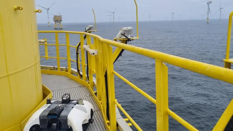 BeeX on turbine