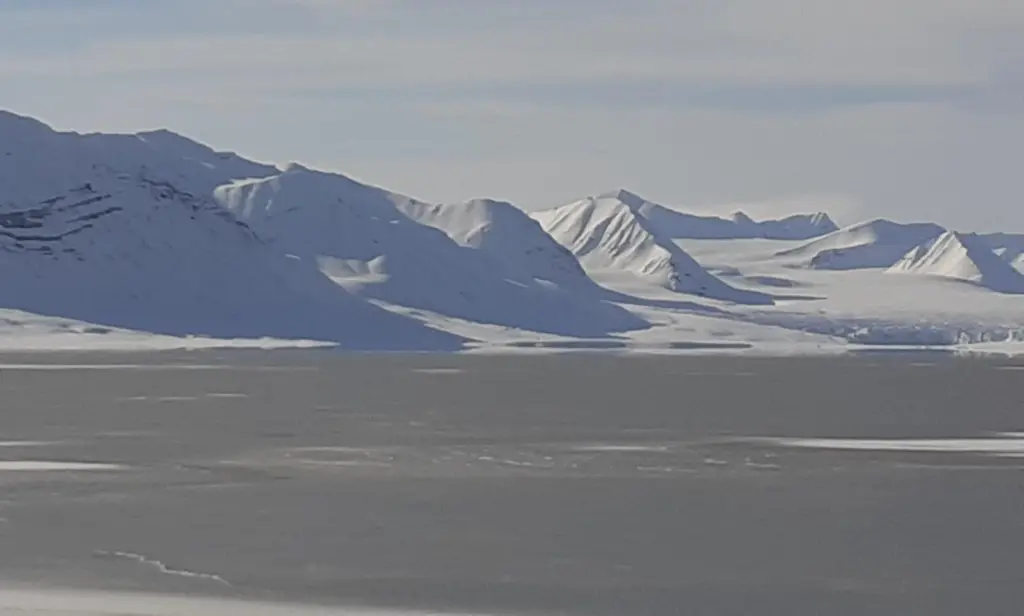 Frozen - The Arctic Ocean