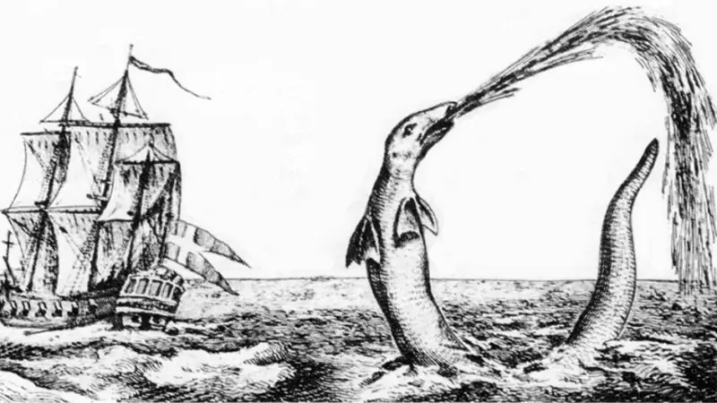 Hans_Egede_sea_serpent_1734