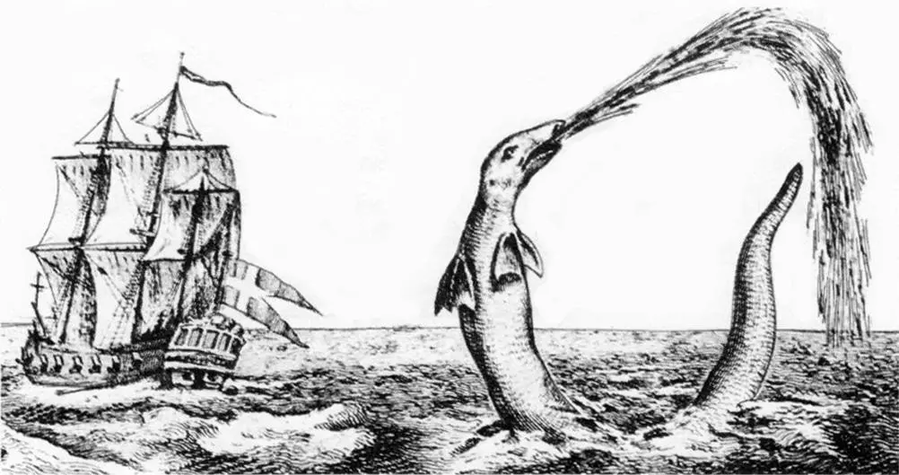 Hans_Egede_sea_serpent_1734