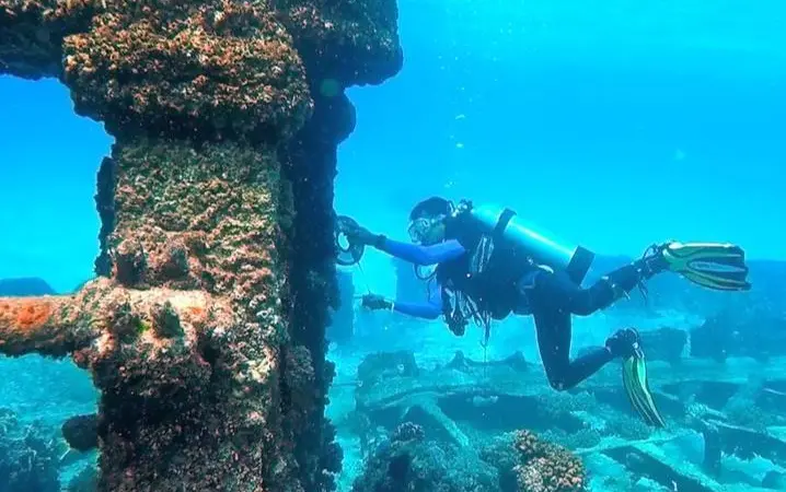 Diver