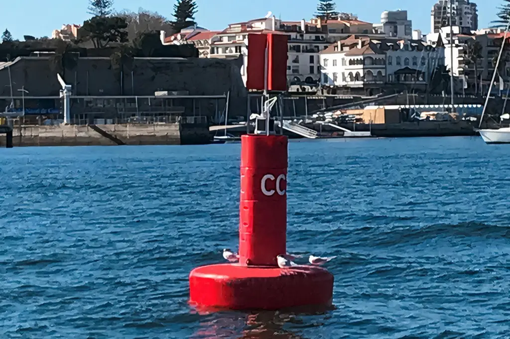 Almarin's EVO buoy