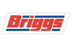 00_274167_briggsmarinelogorescale_73223