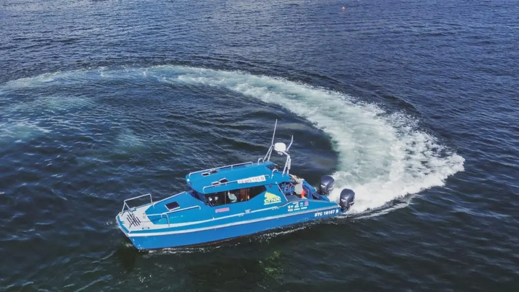 Lynx Power Catamarans