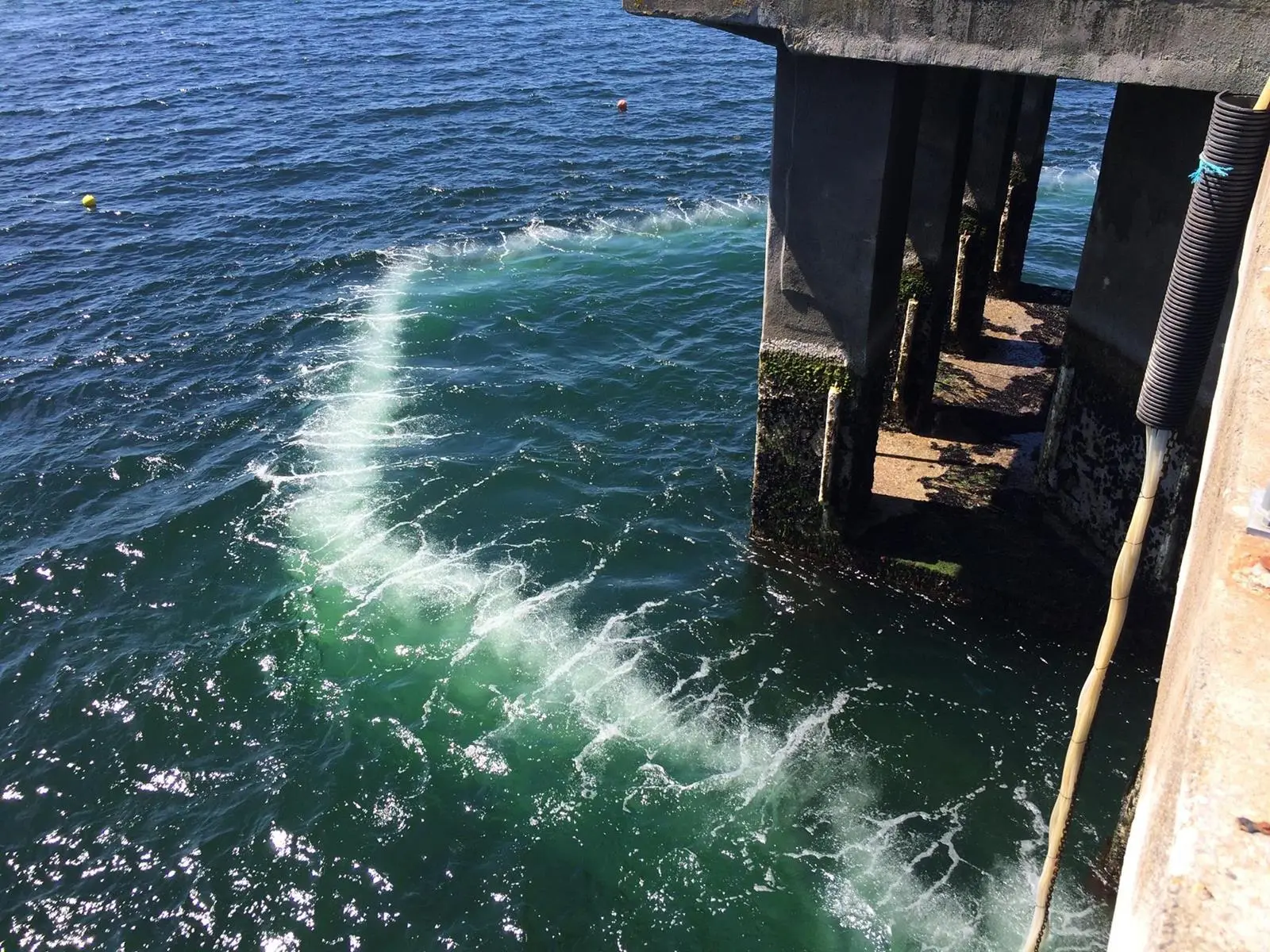 Bubble Curtain used in Scotland for inlet protection from jellyfish