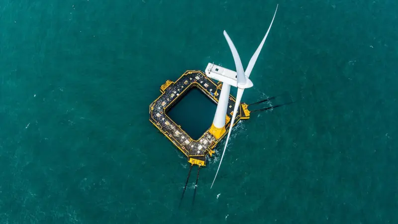 Surveys for the Buchan Offshore Wind project