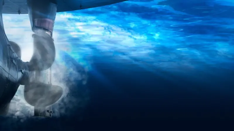 Underwater noise and vibration
