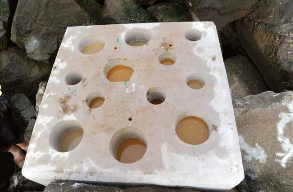 Bioblock
