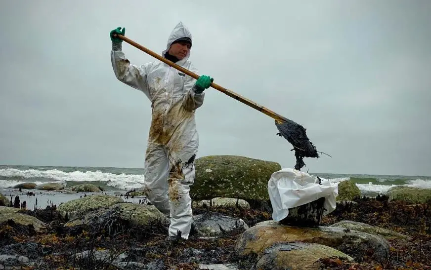 Decontamination of oil at the beaches in Hörvik. Swedish Coast Guard.
