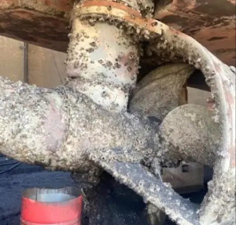 Barnacles on the propellor and rtudder of a ship