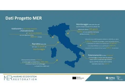 MER Project