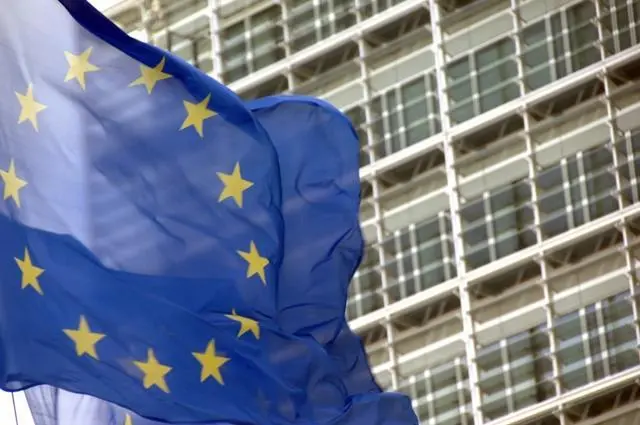 Europe’s aquaculture sector requires investment, long-term planning and hence clear and stable rules, say MEPs.