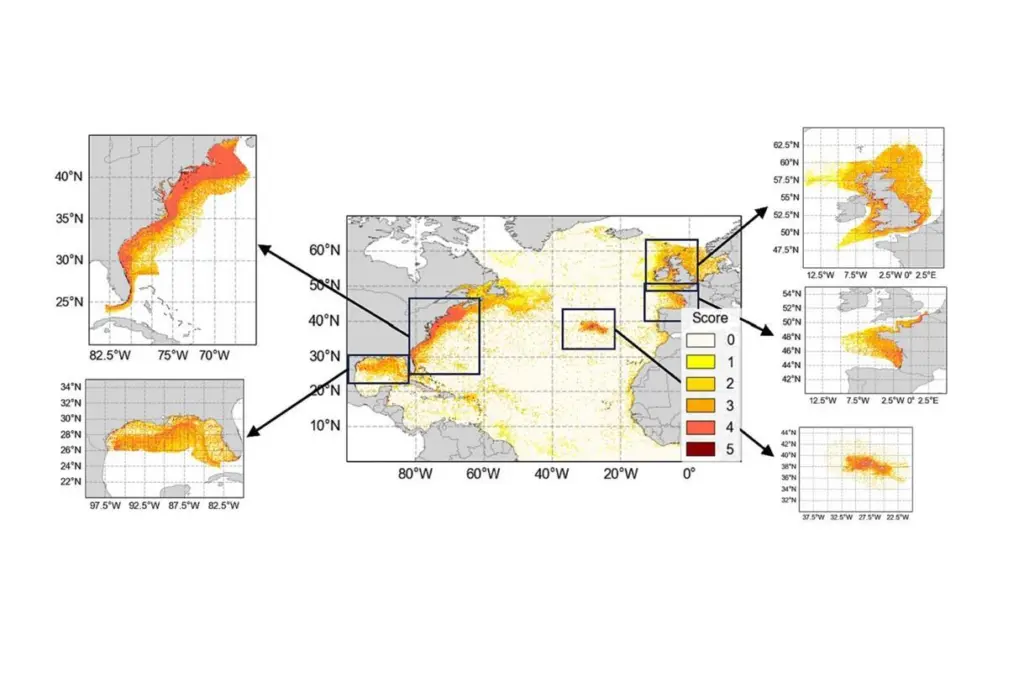 North Atlantic plastic waste map