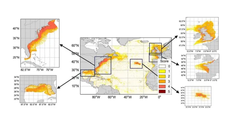 North Atlantic plastic waste map
