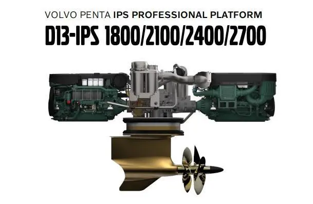 D13 IPS