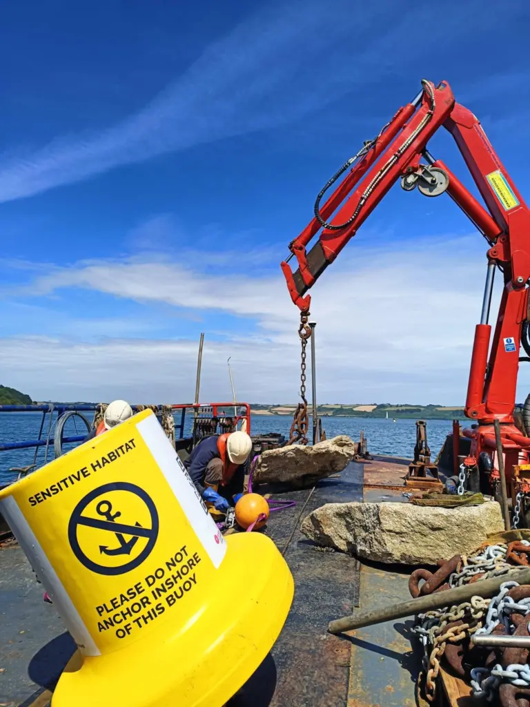 Blue Meadows AMS - prepping #1 - Mylor Moorings