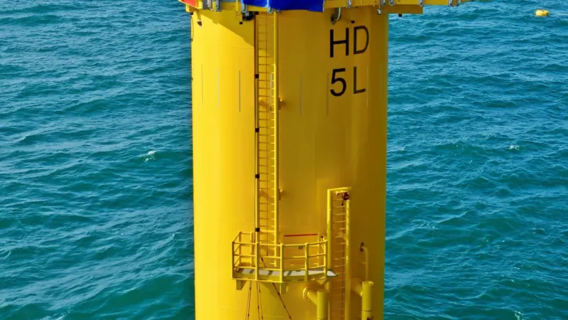 EnBW foundation