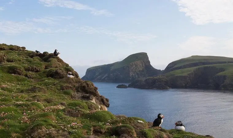 Fair Isle