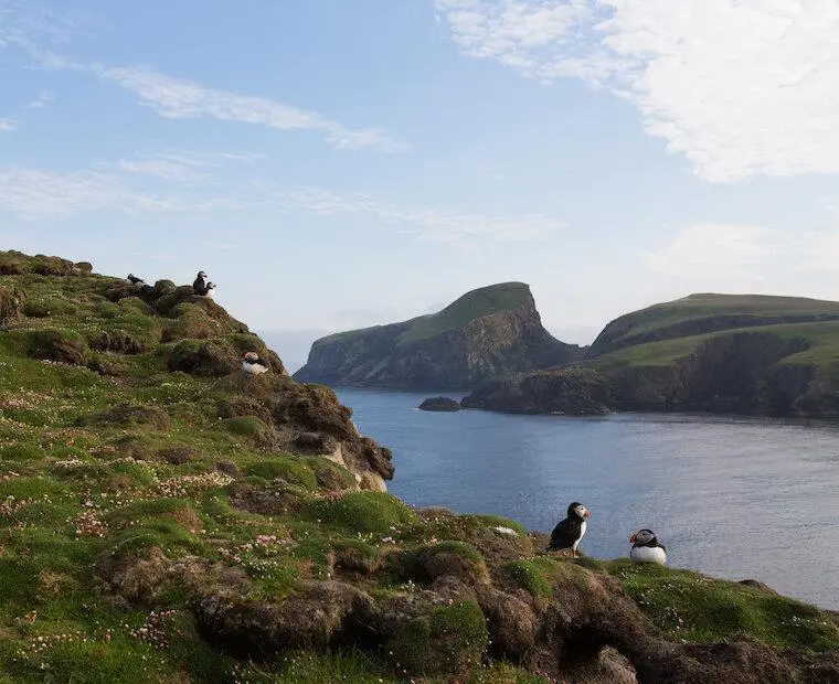 Fair Isle