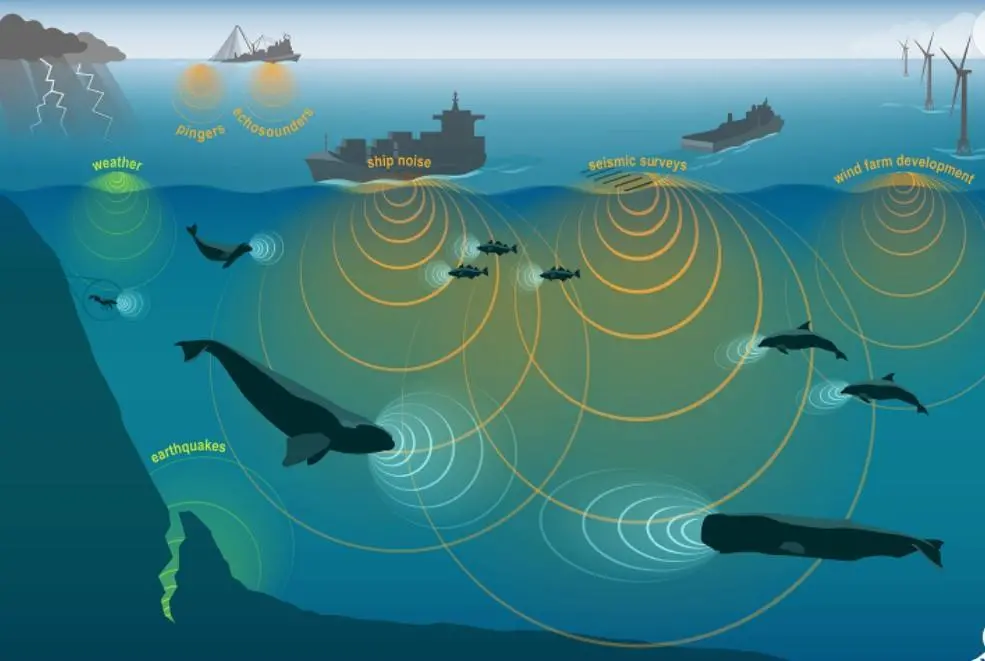 Subsea noise credit NOAA Fisheries