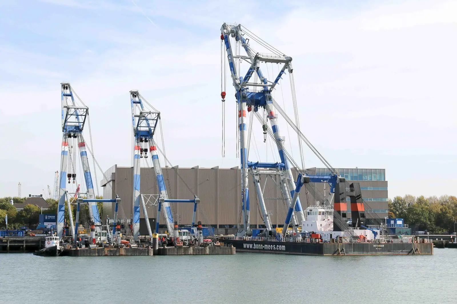 The three floating sheelegs of Bonn  Mees at their home base in Rotterdam (Peter Barker)