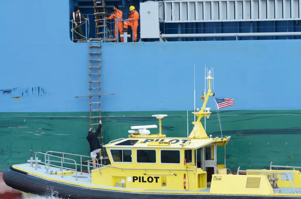Do pilots have to board or could remote pilotage be a feasible option – and is the technology up to it. An international study is asking challenging questions.