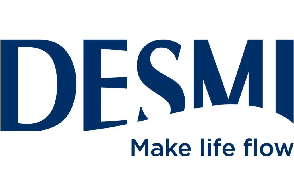 00_324008_desmi2024logorescale_305866