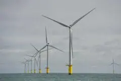 Rampion