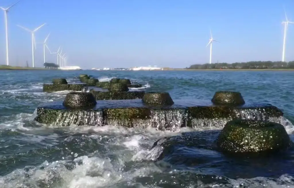 Reef-blocks