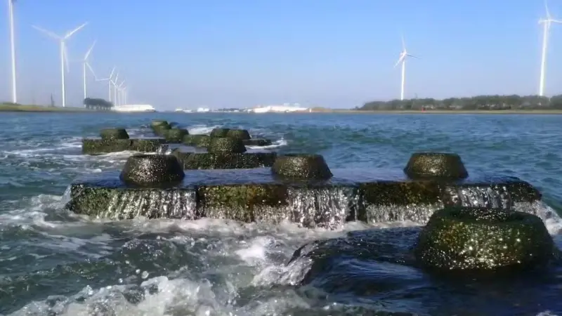Reef-blocks