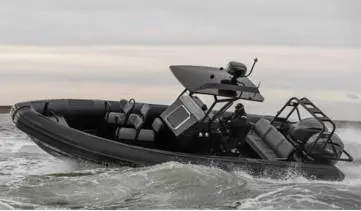 Gemini 880 RIB