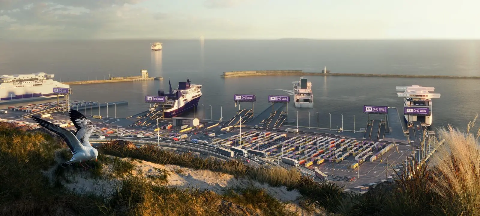 Visualisation of 2020 cruise liners at Eastern Docks