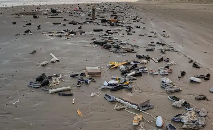 Contents of containers washed up on the Wadden Island's beaches (Bron Marjan Veenendaal Staatsbosbeheer)
