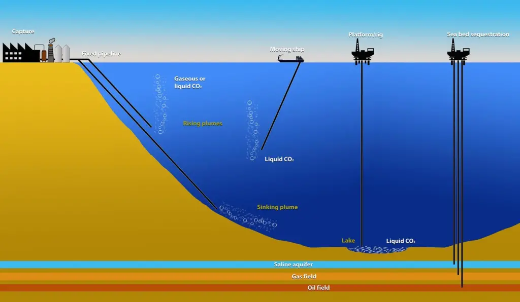 Image of carbon capture at sea process