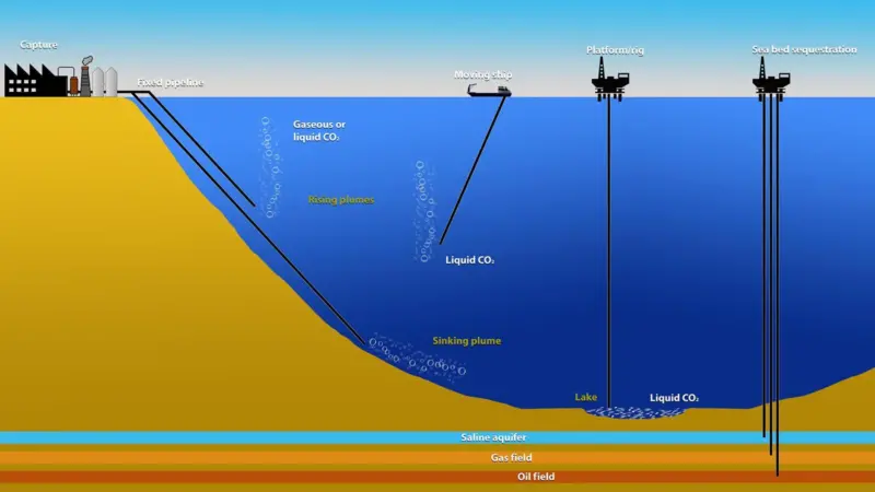 Image of carbon capture at sea process