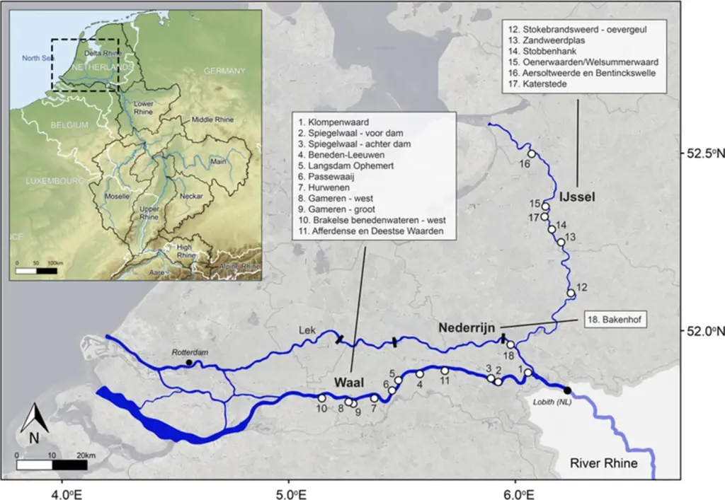 Rivers