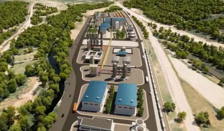Reolum's La Robla Green plant