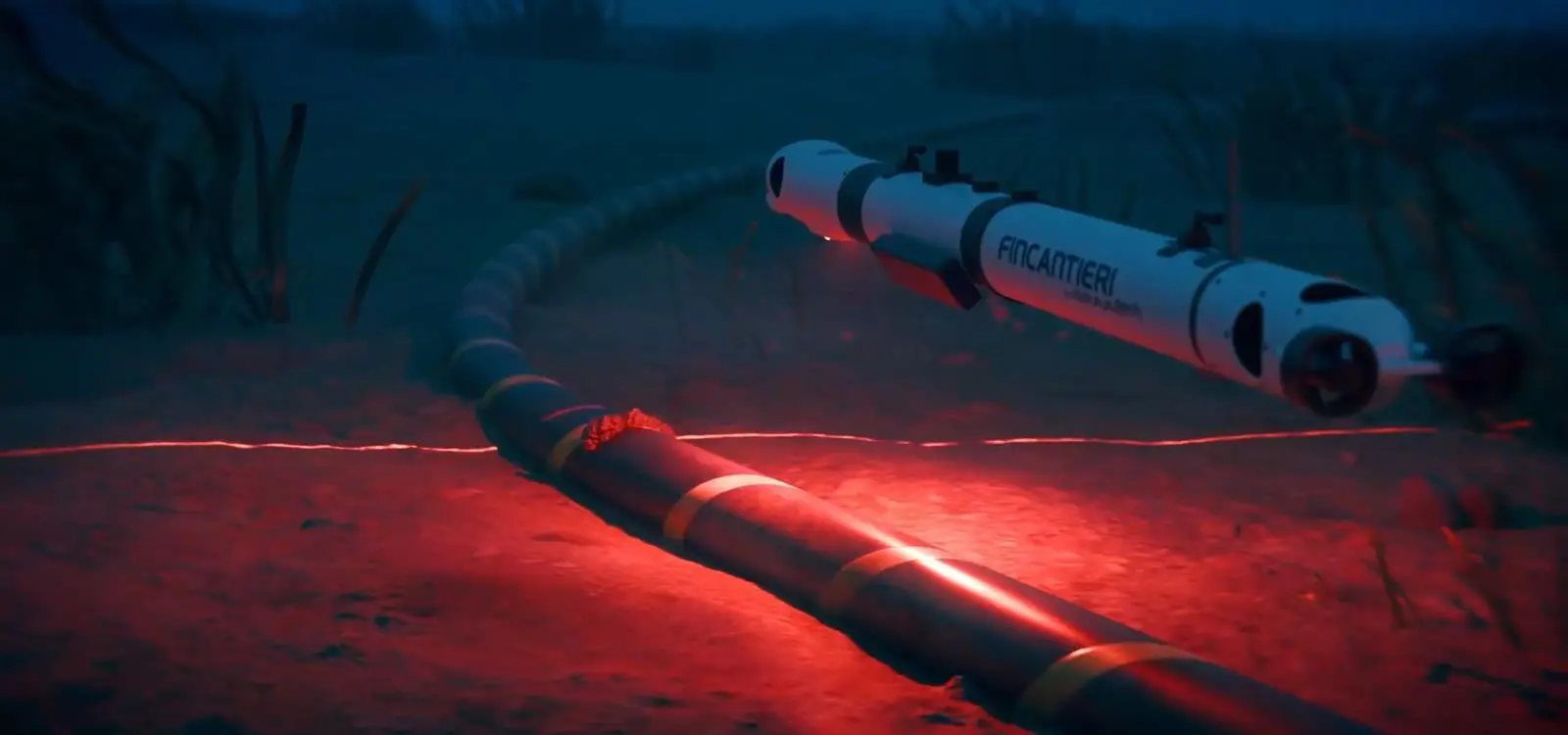 Subsea cable checking by DEEP