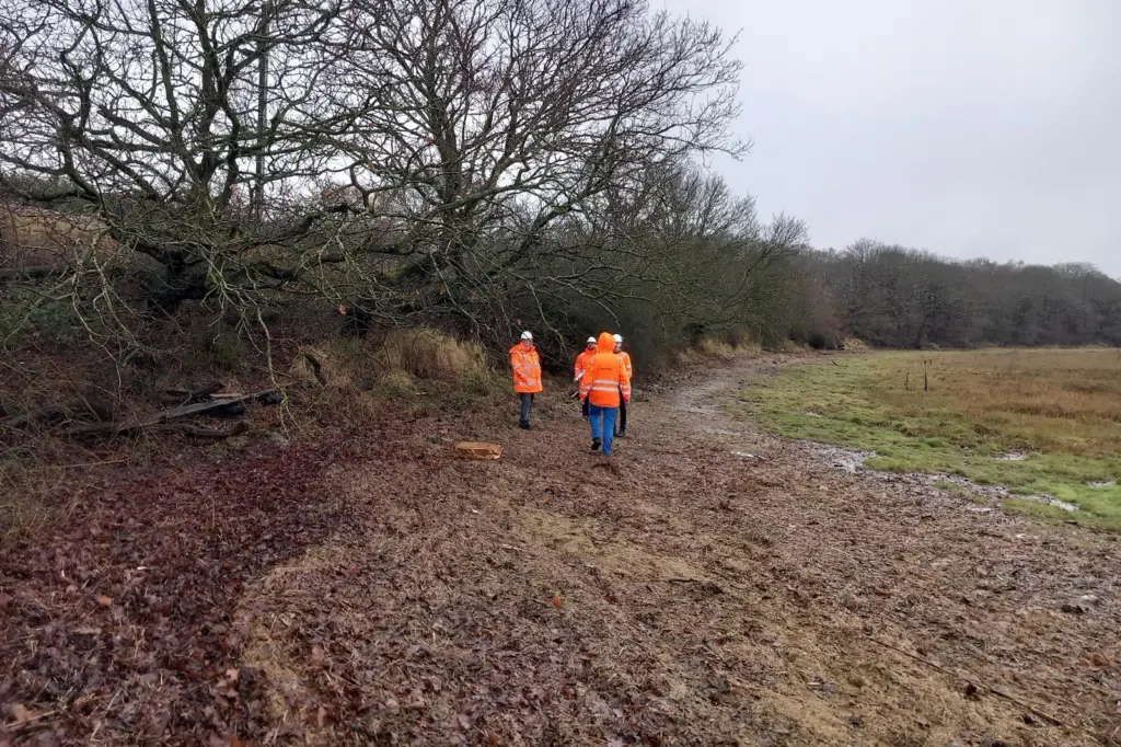 The image shows the BUDS project team on the foreshore of the Stour Estuary