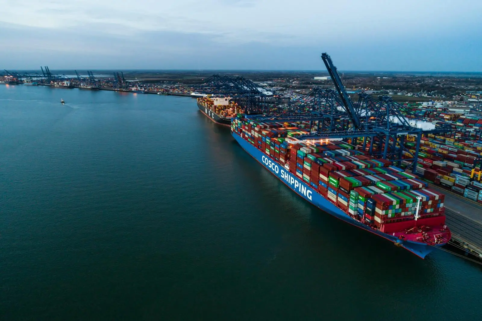 COSCO-Gallery