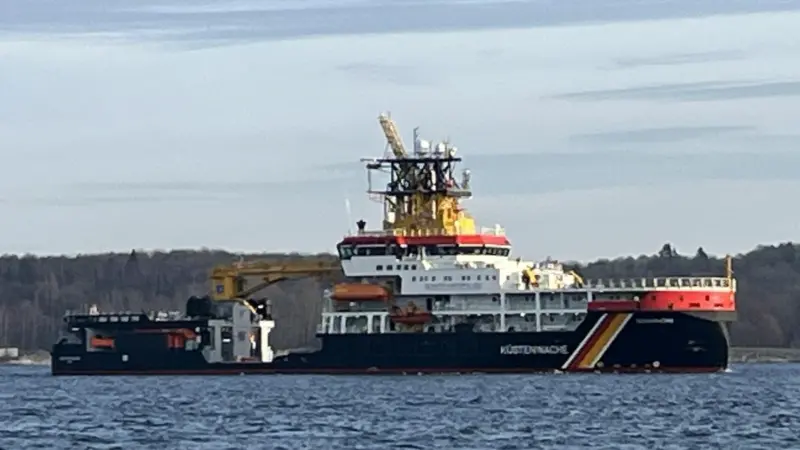 Scharhörn