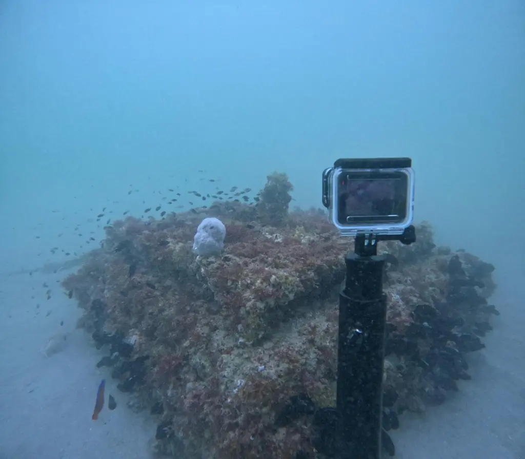 Ecoreef installation in the UAE