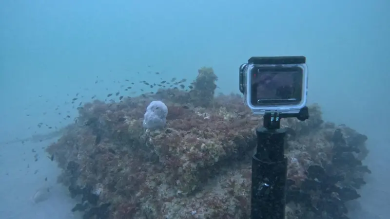 Ecoreef installation in the UAE