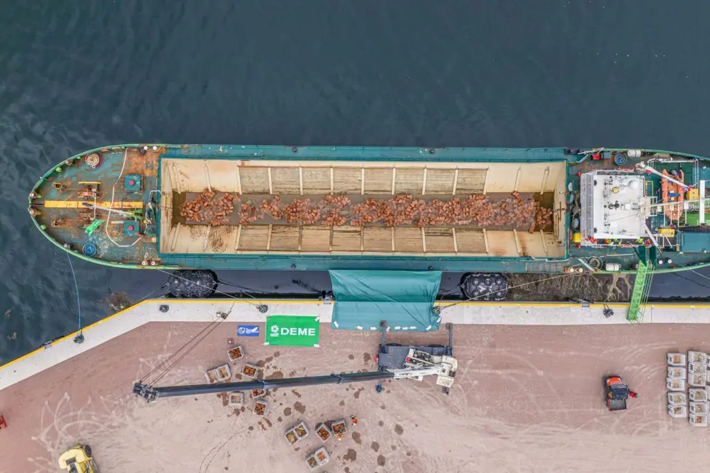 DEME-transporting-oyster-reefs